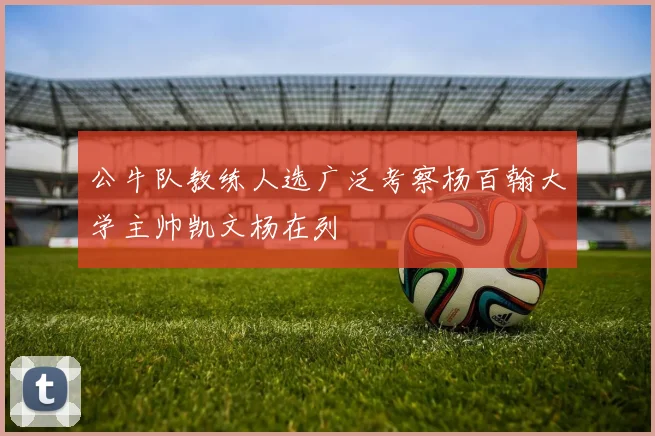 公牛队教练人选广泛考察杨百翰大学主帅凯文杨在列